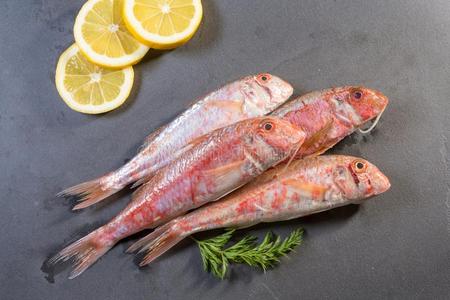 红色的胭脂鱼表示