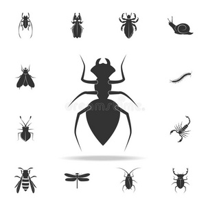 蚂蚁.详细的放置关于昆虫物料项目偶像.额外费用质量图利
