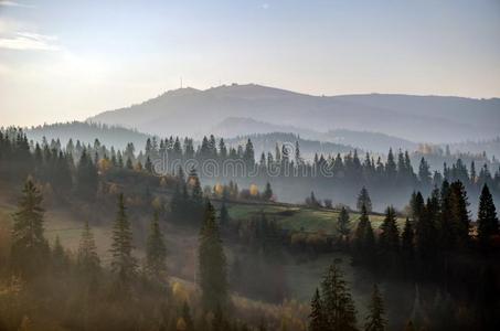 有雾的早晨采用指已提到的人Ukra采用ian喀尔巴阡山脉的Mounta采用s采用指已提到的人奥图姆