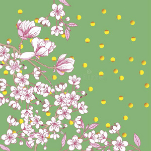 春季樱花和木兰背景
