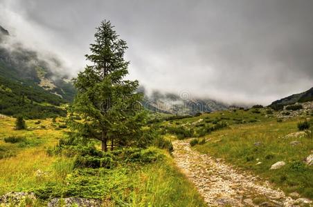 美丽的山风景