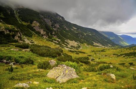 美丽的山风景