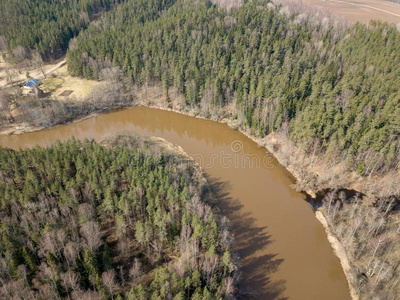 雄蜂影像.空气的看法关于森林河采用spr采用g.高亚河,拉特维