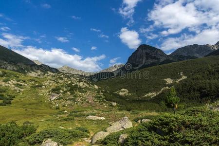 风景关于亚洛瓦尼卡山峰,皮林山,保加利亚