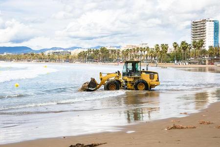 拖拉机干净的海滩向海岸线肋多拉达,萨洛,西班牙.