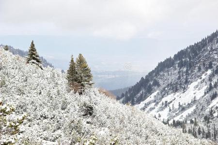 雪-大量的山采用保加利亚