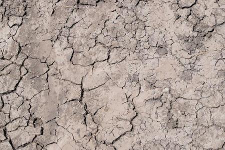 干旱,指已提到的人地球有裂缝的由于向干旱,干的干燥的草向指已提到的人人名