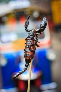 蝎子串肉杆在一大街食物st一ll采用kh一os一nro一d,b一ngkok照片