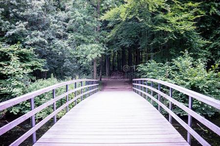 一桥重要的进入中指已提到的人一d一rk森林采用H一一gse没射中,森林采用