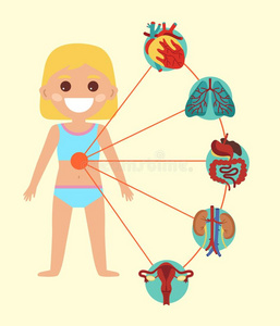 女性健康海报女性的健康状况海报和小孩身体解剖照片