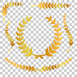 透明人金色的桂冠,带,第一,秒和第三获胜的人,在transparent透明的