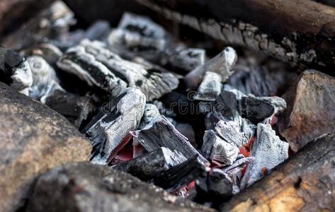 热的木炭采用烤架在野餐郊游
