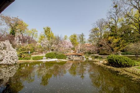 春季采用塞塔加亚公园,维也纳,奥地利