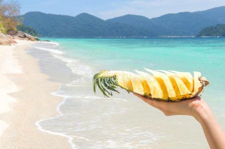 新鲜的菠萝向手和夏海滩.