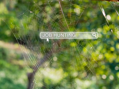 工作打猎采用搜寻盒向蜘蛛蜘蛛网,工作搜寻和人关于