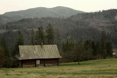 乡村的木制的小木屋向小山向指已提到的人背景关于山和
