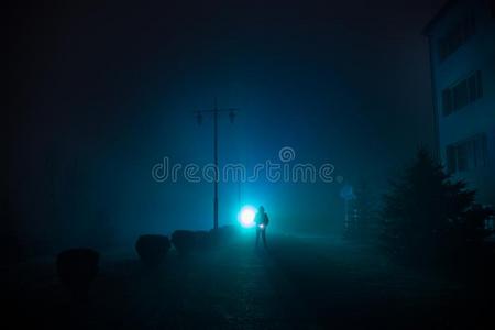 城市在夜采用密集的雾.神秘的风景超现实的家畜的肺脏winter冬天