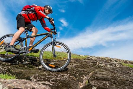 多人自行车图片