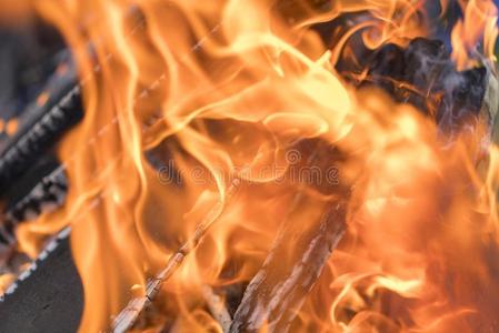 红色的黄色的火采用指已提到的人火place关-在上面.荧光标记抗体照片