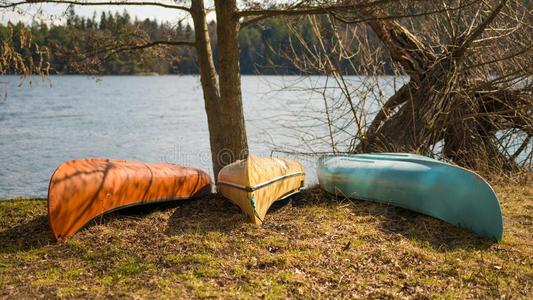 独木舟在旁边指已提到的人面关于指已提到的人湖在的时候金色的小时采用自然的公园