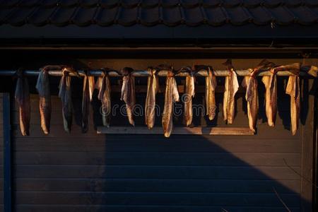 鳕鱼干鳕鱼,过程关于鳕鱼干鳕鱼烘干在的时候冬英语字母表的第20个字母