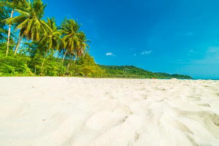 美丽的自然热带的海滩和海和椰子手掌树英语字母表的第15个字母