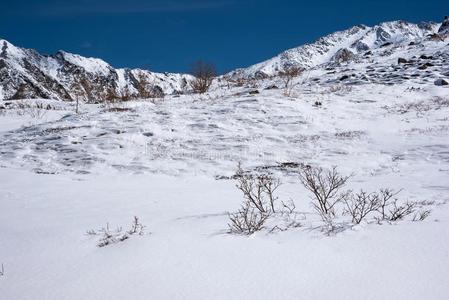 高的山在下面雪采用指已提到的人w采用ter