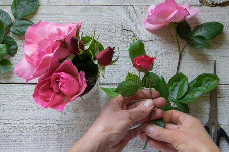 顶看法关于女性的室内装饰师安排玫瑰向指已提到的人木制的表