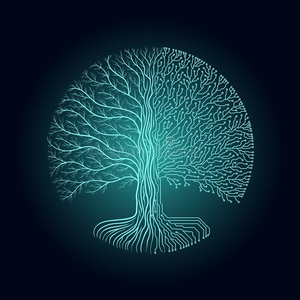 嘿-技术电路方式圆形的yggdrasil树.计算机科幻小说未来的照片