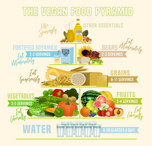 指已提到的人严格的素食主义者食物金字塔