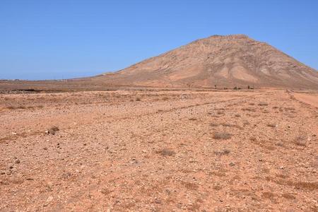 干的干燥的沙漠风景