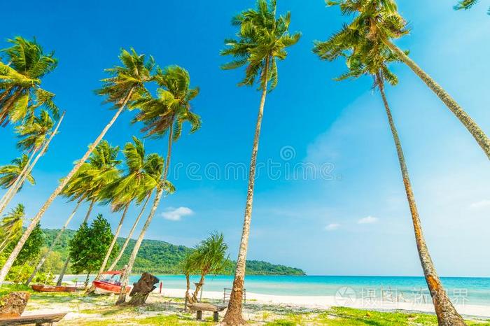 美丽的自然热带的海滩和海和椰子手掌树英语字母表的第15个字母