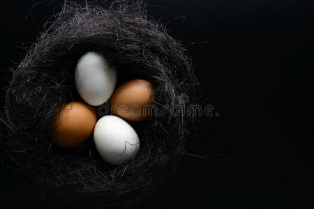 白色的和棕色的卵采用窝从剑麻向黑的背景