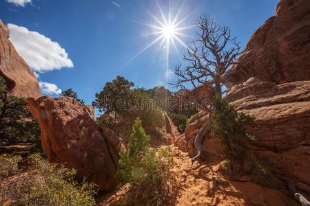 场面富丽的维韦向平顶山弓形采用Canyonlands国家的Parksurround采用gthejunctionoftheColo