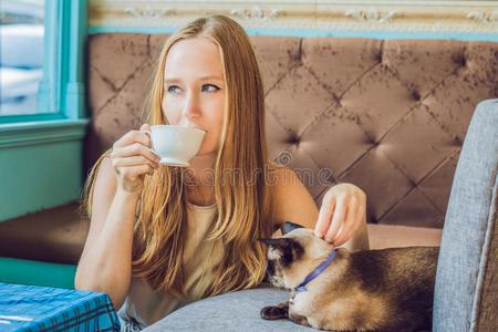 年幼的女人是（be的三单形式喝饮料咖啡豆和按抚法指已提到的人猫