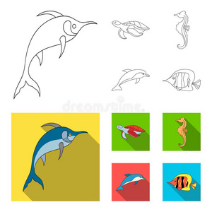 隼,龟和别的物种.海动物放置收集偶像