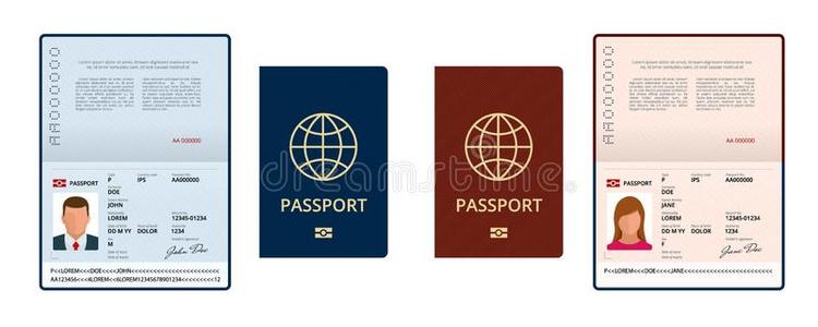矢量空白的敞开的护照样板.国际的护照和