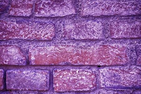 过激的紫色的砖墙质地,水泥背景为蜘蛛网地点