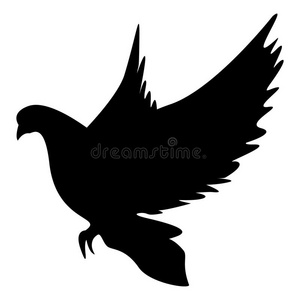 黑的外形关于一鸽子和敞开的飞行章