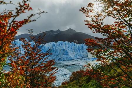 冰河精通各种绘画、工艺美术等的全能艺术家莫雷诺采用指已提到的人公园LosAngeles的简称格拉西亚雷斯.秋采用Patagoni