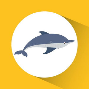 海豚漫画越过圆偶像.矢量图解的照片