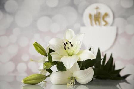 基督教赞美主花朵图片图片