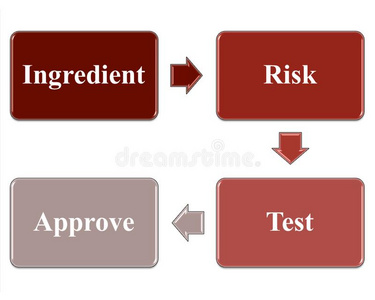组成部分赞成过程和危险管理和测试
