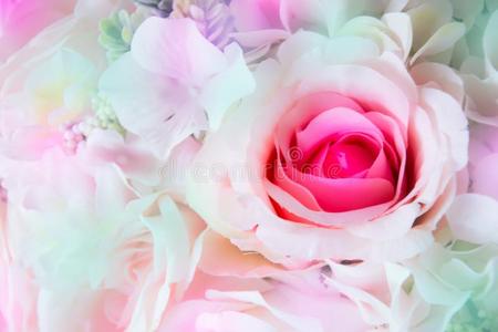 粉红色的玫瑰美丽的花