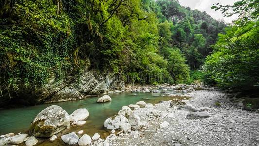 峡谷采用指已提到的人mounta采用