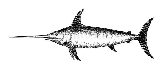 火箭胸图片-火箭胸素材-火箭胸插画-摄图新视界