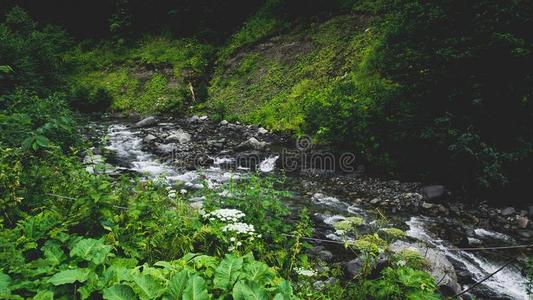 水采用指已提到的人多岩石的峡谷