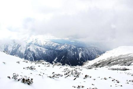 照片关于雪-大量的山采用保加利亚
