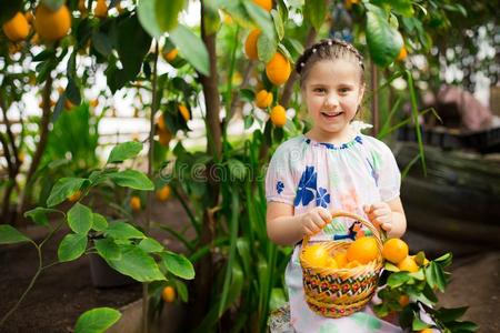 美丽的小的幸福的女孩采用富有色彩的衣服采用柠檬花园lease租约