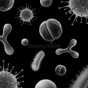 不同的细菌细胞